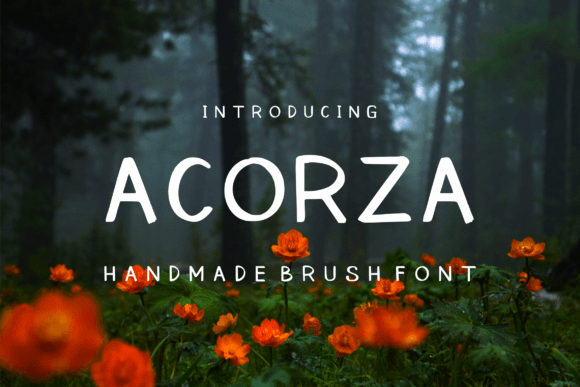 Acorza: A Fun Handwritten Font for Web Design