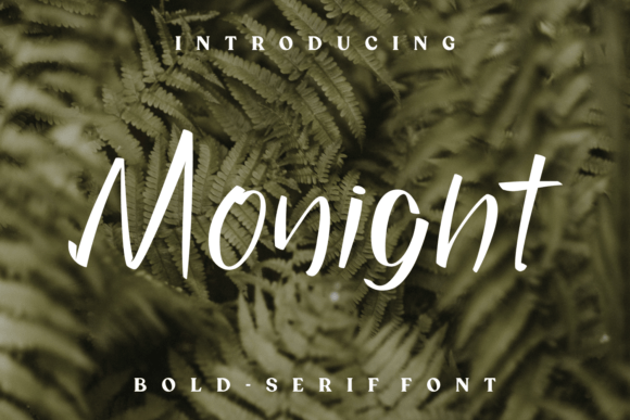 Monight: A Font for Polished Branding