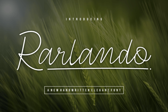 Rarlando: A Font That Elevates Your Brand