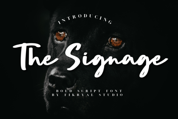 The Signage: A Bold Script Font